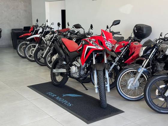 HONDA XRE 300 RALLY 